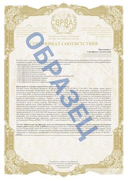 Образец Приложение к СТО 01.064.00220722.2-2020 Касимов Сертификат СТО 01.064.00220722.2-2020 
